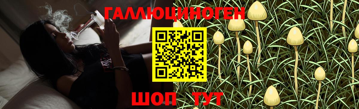 Галлюциногенные грибы Cubensis  Вход с VPN  где купить   Канаш 