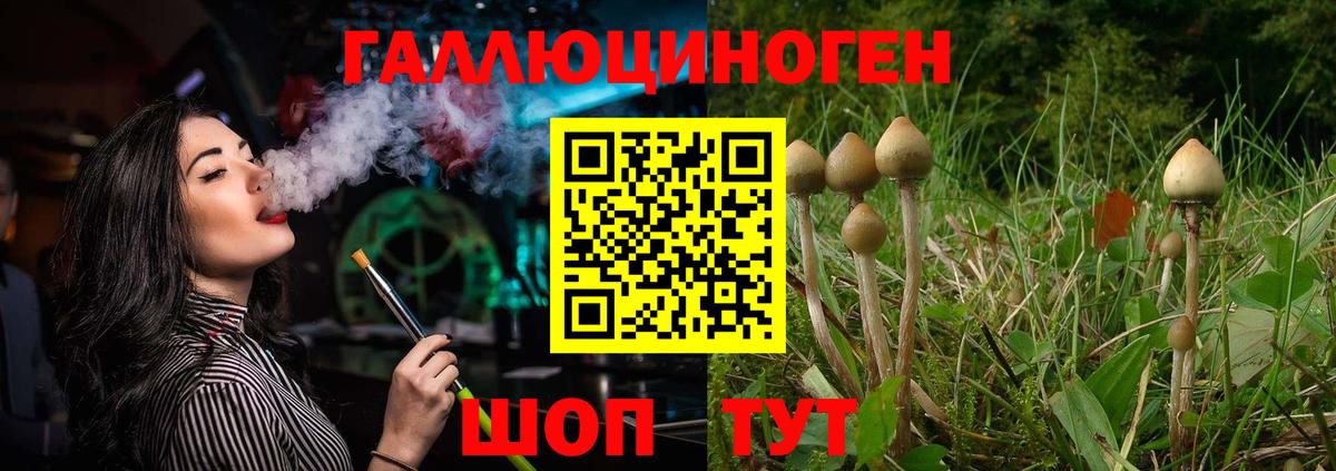 Галлюциногенные грибы прущие грибы Канаш
